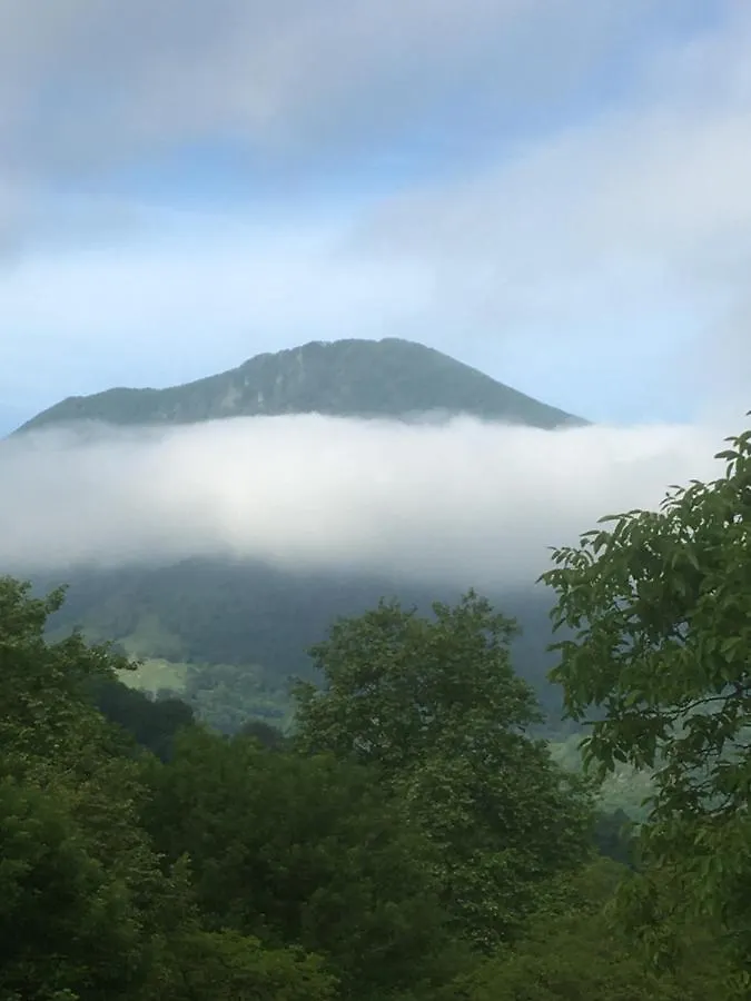Saint-Pé-de-Bigorre Chez Mamylette Bed & Breakfast フランス